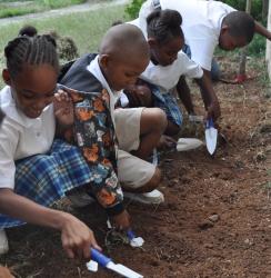 Students from Claude O. Markoe Elementary get ready to plant spinach in the school&rsquo;s first garden bed.